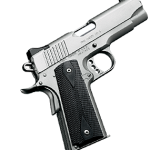 Kimber Pro Carry HD II